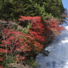 奥日光の紅葉　湯滝にて　3