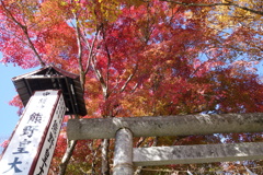 軽井沢　熊野神社の紅葉　2