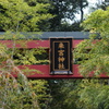 来宮神社にて