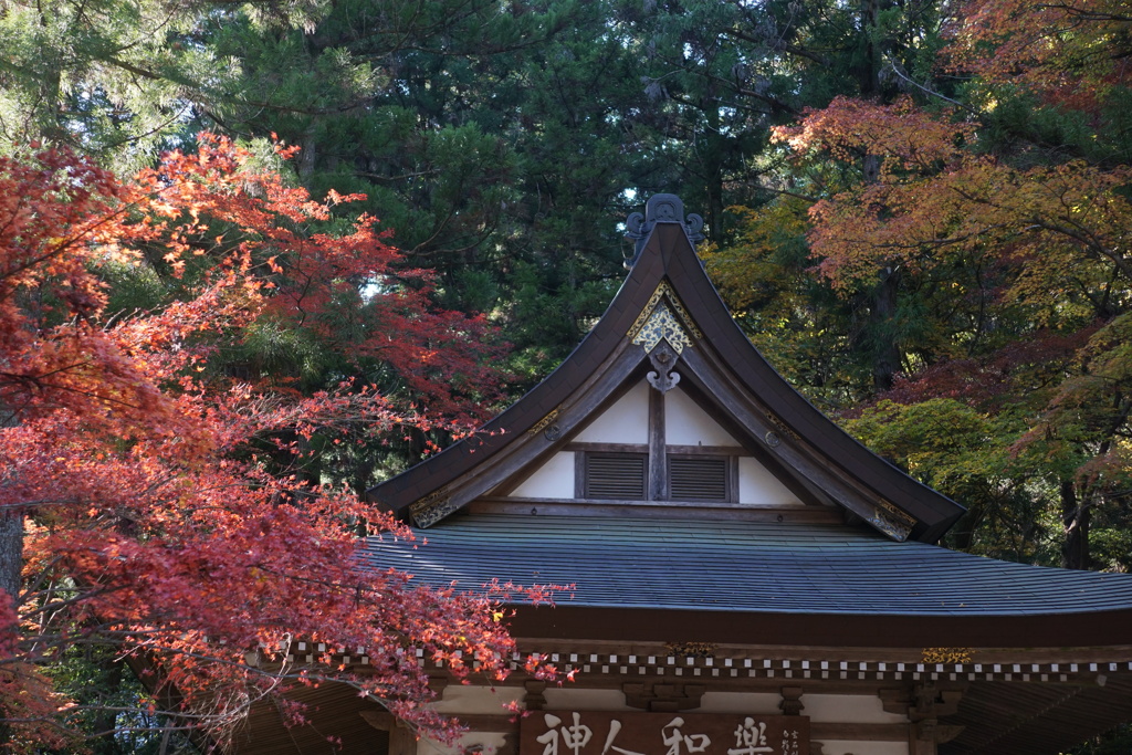 宝登山神社にて　2