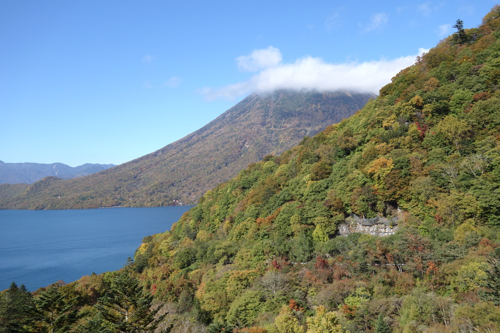 半月山の紅葉