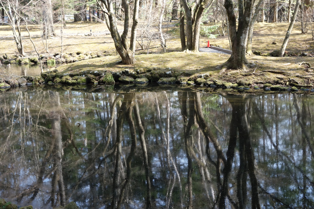 雲場池は今　リフレクション
