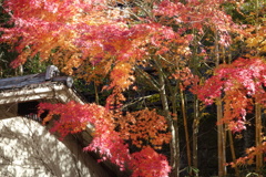 伊香保温泉の紅葉