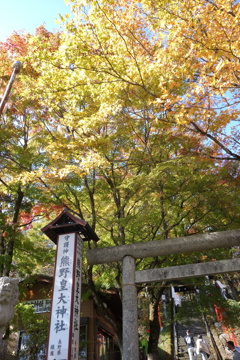 軽井沢熊野神社　紅葉
