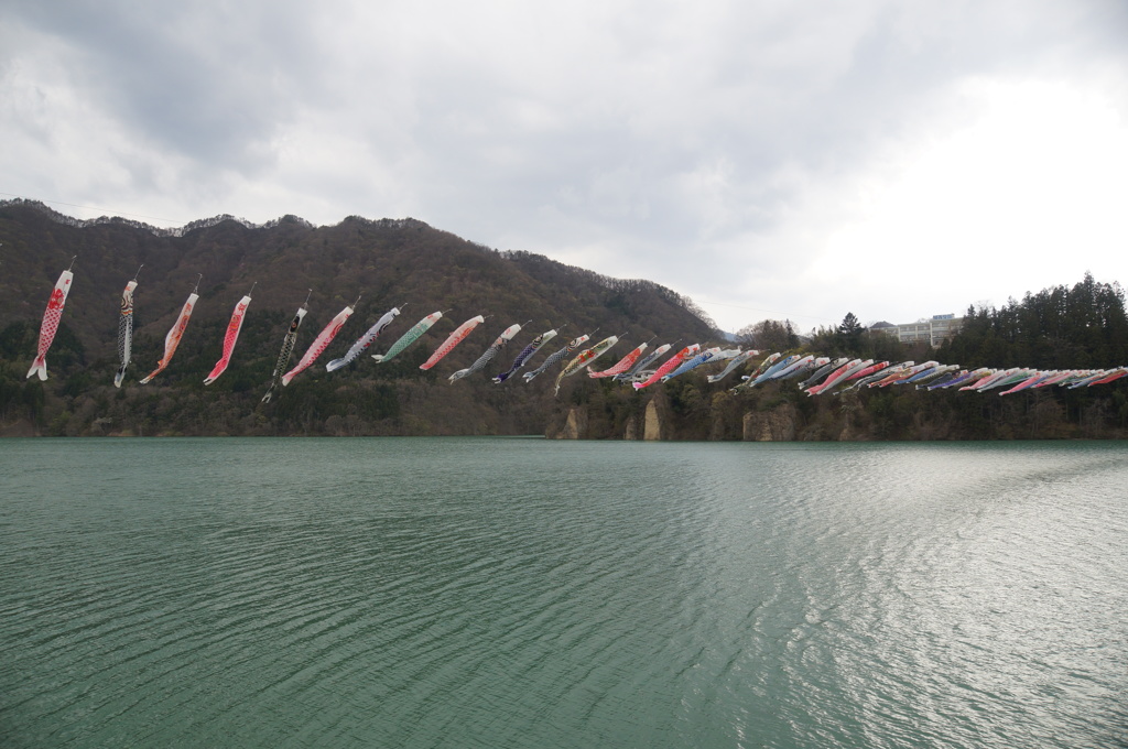 湖に泳ぐ鯉のぼり