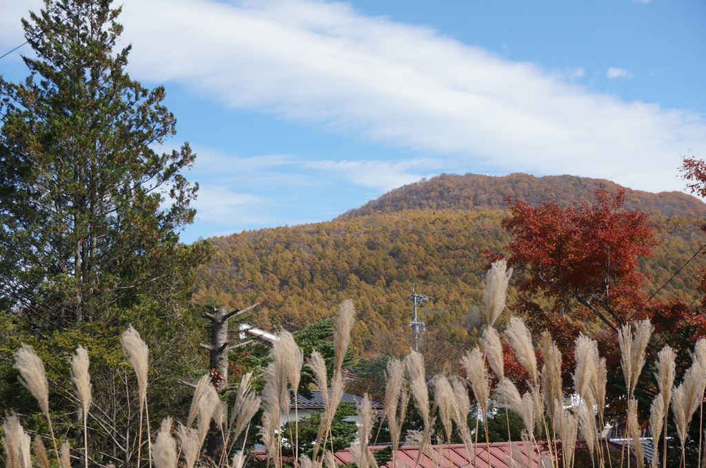 離山　遠景