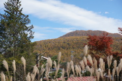 離山　遠景