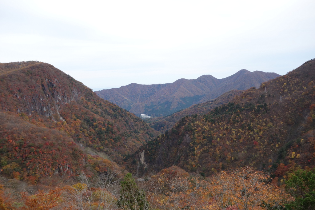 いろは坂の紅葉