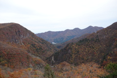 いろは坂の紅葉