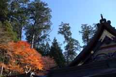 三峰神社で見つけた紅葉　4