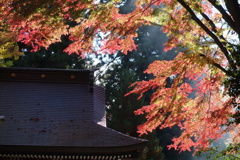 水沢観音の紅葉