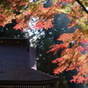 水沢観音の紅葉