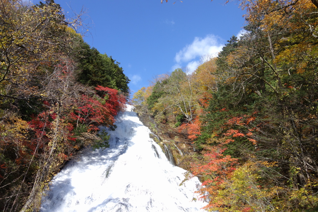 奥日光の紅葉　湯滝にて　2