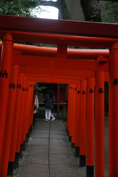 来宮神社にて　朱色