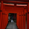 来宮神社にて　朱色