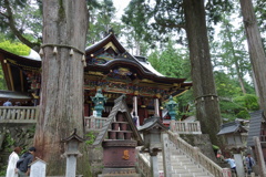 三峰神社　御神木