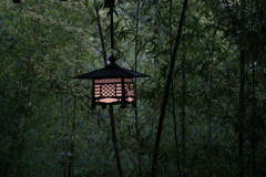 来宮神社にて　灯り