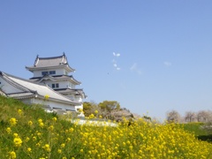 関宿城にて  2