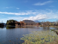 軽井沢 矢ヶ崎公園にて 軽井沢 矢ヶ崎公園にて