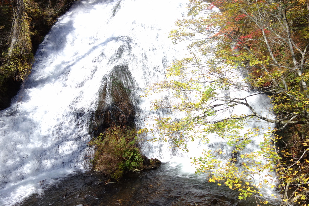 奥日光の紅葉　湯滝にて