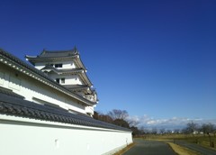 関宿城にて