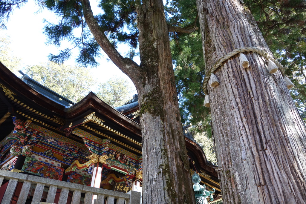 三峯神社　拝殿と御神木