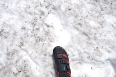 雪に残した足跡