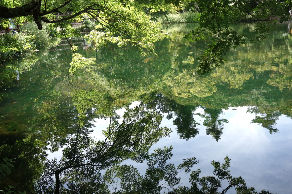 雲場池　1