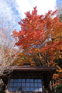 三峰神社の紅葉　2