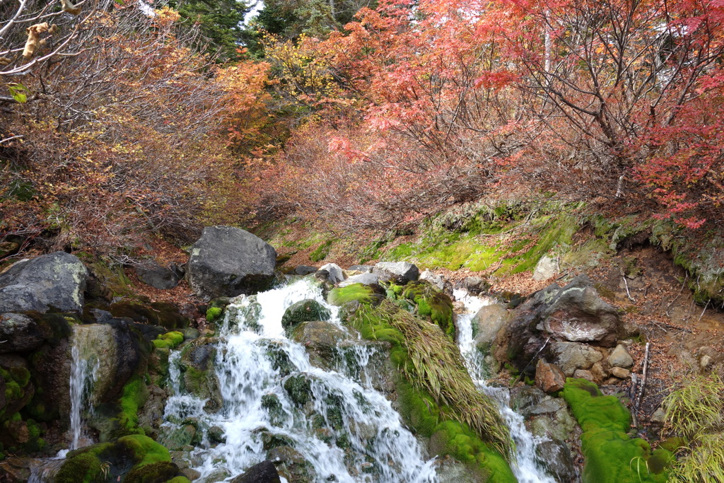 滝　冷泉小屋付近　