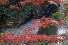 金蔵落しの渓流　紅葉　2