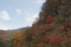いろは坂