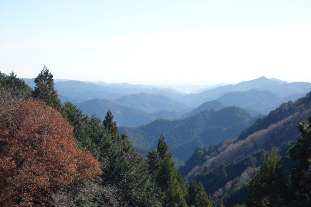 正丸峠から臨む
