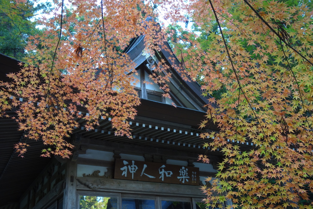 宝登山神社にて　1