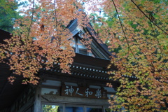 宝登山神社にて　1