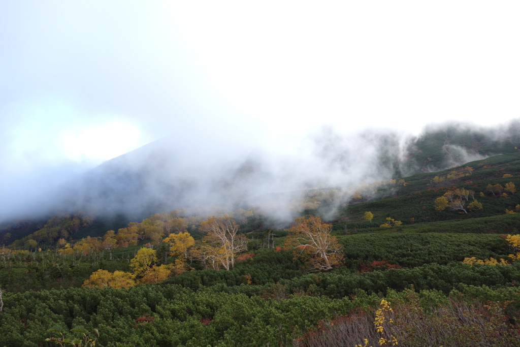 紅葉と雲