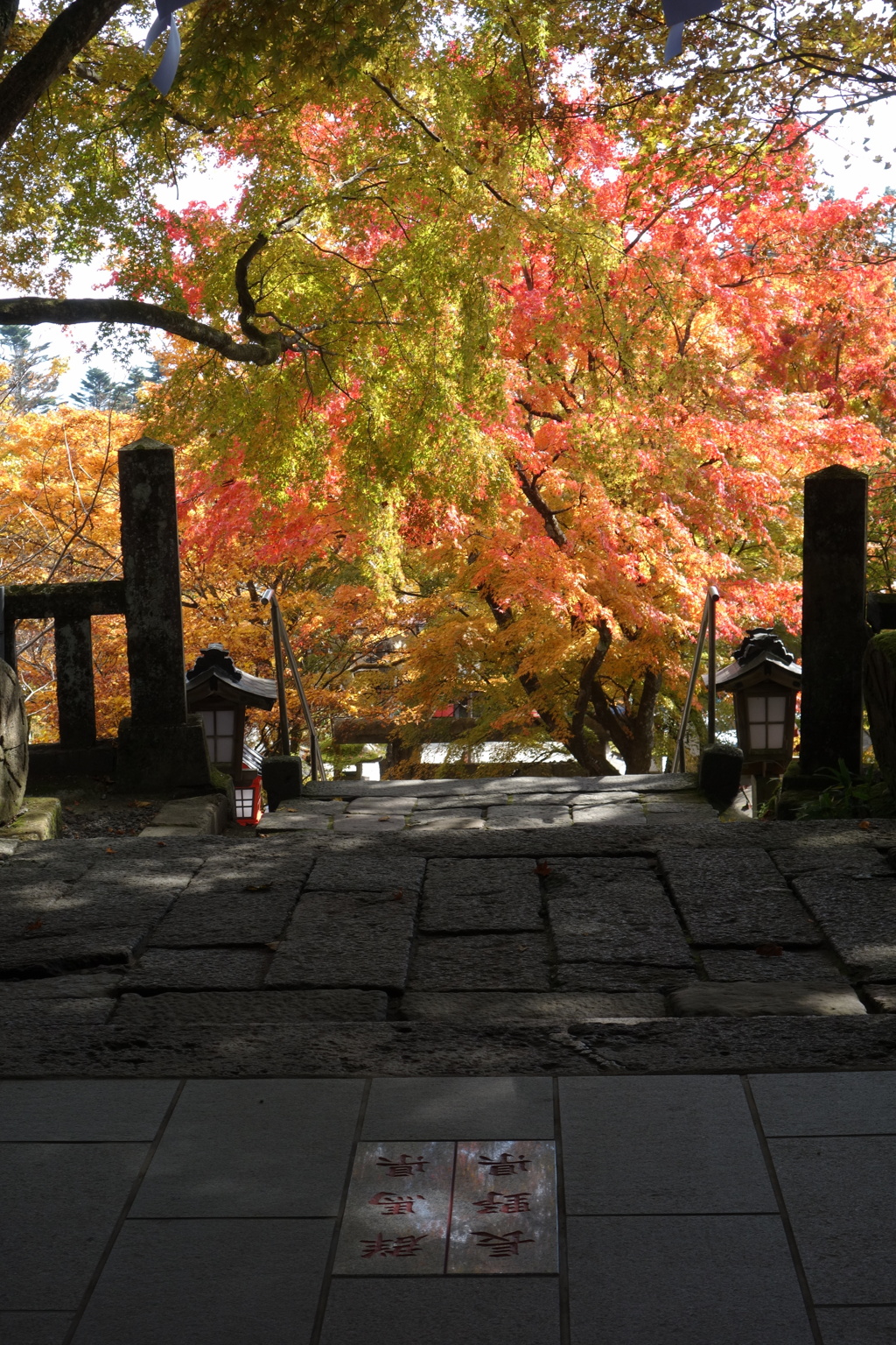 県境の紅葉　熊野神社にて
