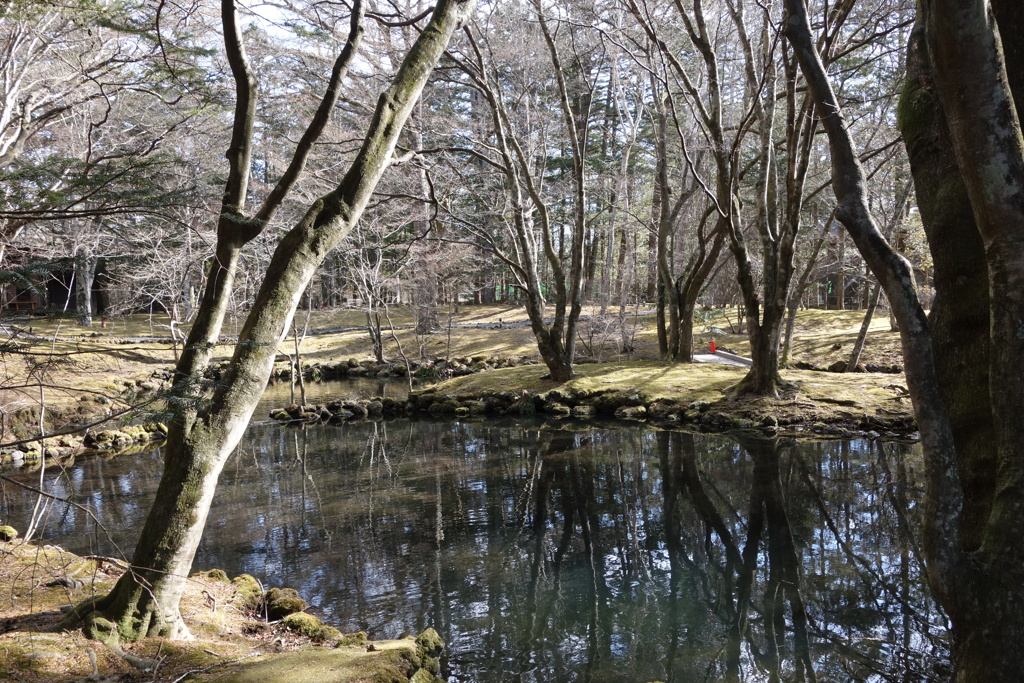 雲場池　冬の景色　2