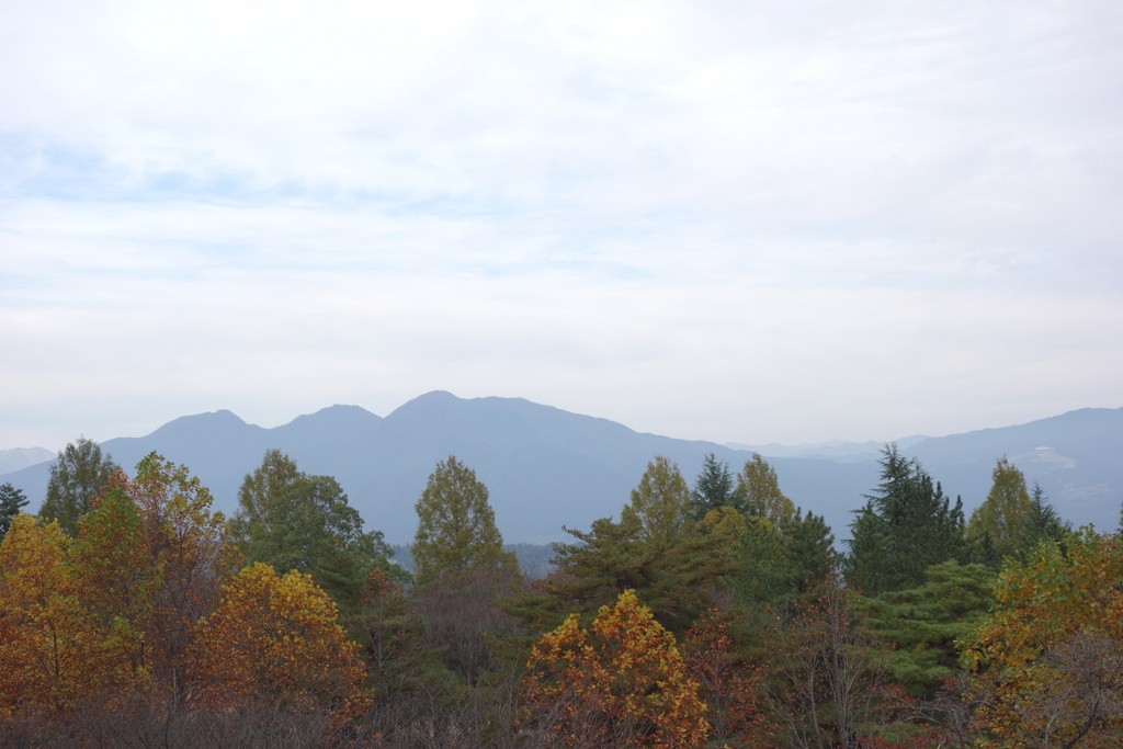 渋川市総合公園　展望台から
