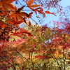 伊香保の紅葉　河鹿橋にて　3