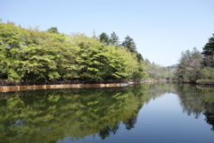 雲場池