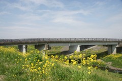土手の橋