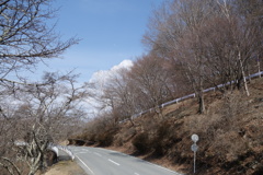 この道の先に