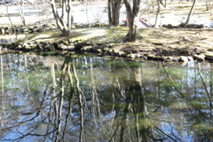 雲場池　リフレクション