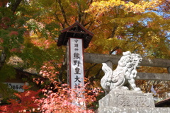 熊野神社の紅葉　