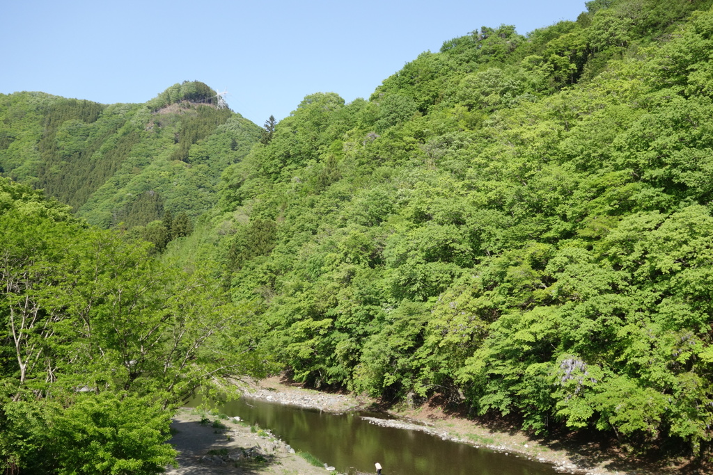 上野村の緑　