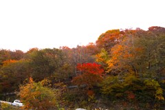 いろは坂の紅葉　3