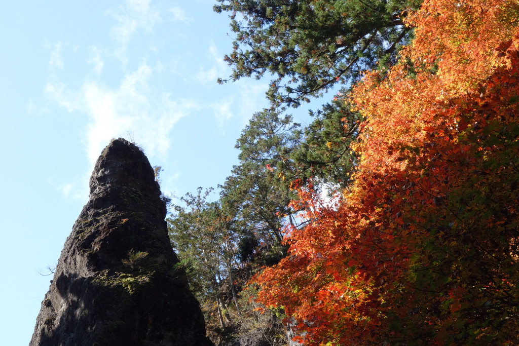 榛名神社で見つけた紅葉