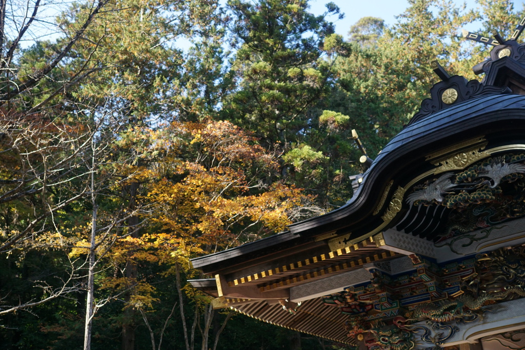 宝登山神社にて　3