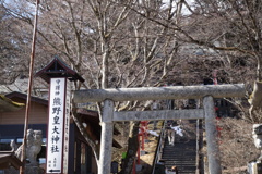 冬の熊野神社